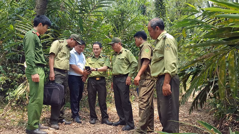 Chi cục Kiểm lâm tỉnh Phú Yên kiểm tra công tác phòng cháy, chữa cháy, tại khu vực rừng trồng xã Hòa Định, huyện Phú Hòa.