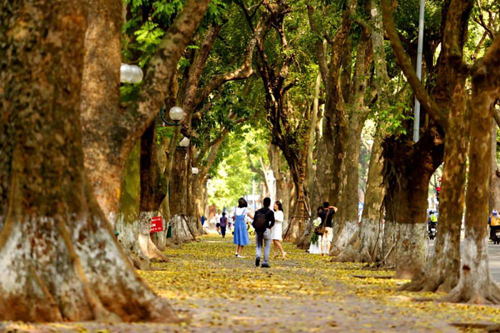 Nét đẹp thu Hà Nội là một trong những yếu tố thu hút khách du lịch.