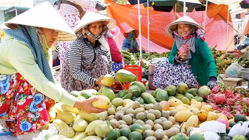 Phụ nữ làng Chăm Phước Nhơn mua trái cây thờ cúng tổ tiên trong dịp đón Tết Ramưwan 2025 (Ảnh: NGUYỄN TRUNG)