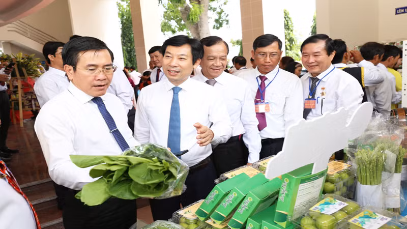 Các đại biểu tham quan gian hàng trưng bày tại Hội nghị, giới thiệu những sản phẩm có giá trị kinh tế, đem lại thu nhập cao cho nông dân Ninh Thuận trong thời gian qua.