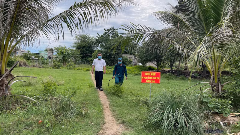 Cán bộ Chi cục Chăn nuôi và Thú y Ninh Thuận kiểm tra khu vực xuất hiện dịch tả lợn châu Phi tại xã Nhơn Sơn, huyện Ninh Sơn và hướng dẫn các biện pháp phòng, chống dịch. (Ảnh: NGUYỄN TRUNG)