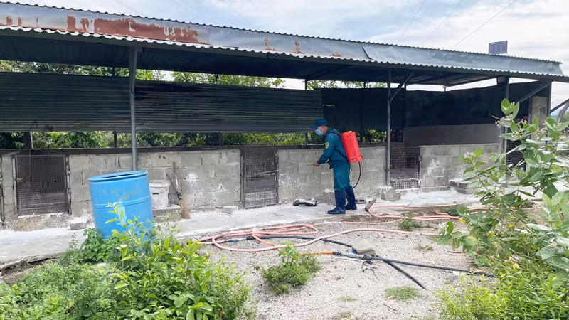 Cán bộ thú y xã Nhơn Sơn, huyện Ninh Sơn (Ninh Thuận) thực hiện tổng vệ sinh, khử trùng tiêu độc 1 lần/ngày trong tuần lễ đầu tiên kể từ khi phát hiện dịch tả lợn châu Phi tại địa phương. (Ảnh: NGUYỄN TRUNG)