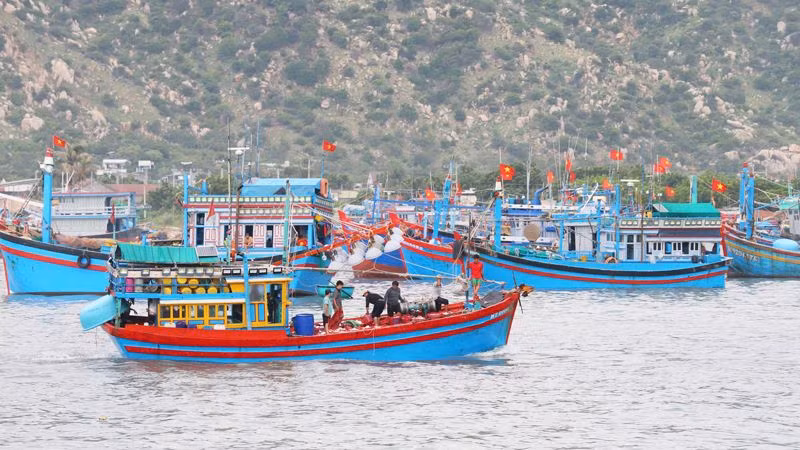 Ninh Thuận còn hơn 1.000 tàu cá hoạt động khai thác thủy sản ven bờ và lộng đã hết hạn giấy phép khai thác và chưa được cấp lại giấy phép khai thác (Ảnh: NGUYỄN TRUNG)