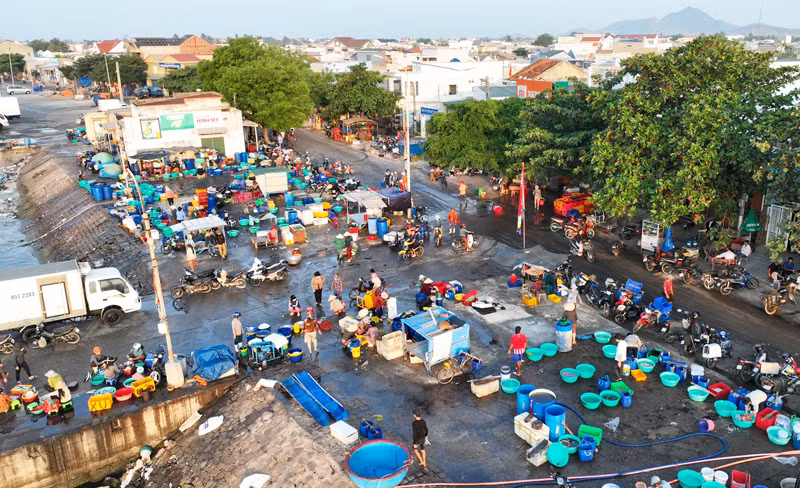 Tại khu vực cảng cá Mỹ Tân, xã Thanh Hải, huyện Ninh Hải, tỉnh Ninh Thuận hình thành chợ đầu mối cung cấp hải sản cho thương lái vận chuyển đến các vùng khác trên địa bàn tỉnh và các tỉnh lân cận.
