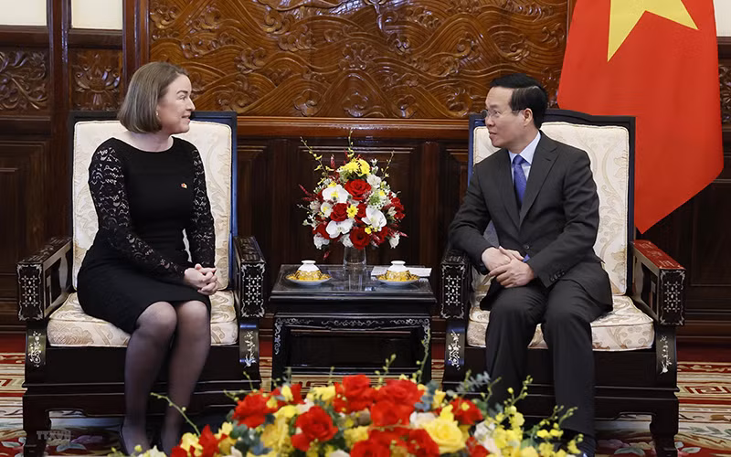 Chủ tịch nước Võ Văn Thưởng tiếp Đại sứ Cộng hòa Ireland Deirdre Ni Fhalluin. (Ảnh: TTXVN) 