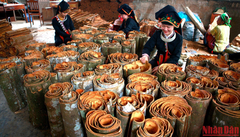 Lễ hội Quế Văn Yên năm 2022