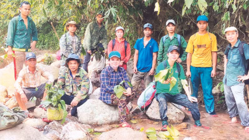 Bà con Cơ Tu tham gia bảo tồn cây thuốc nam.