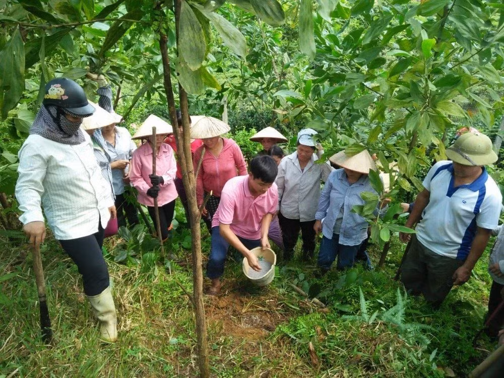 Giờ thực hành nghề lâm sinh cho người lao động. Nguồn: BAN TUYÊN GIÁO TỈNH ỦY HÀ GIANG