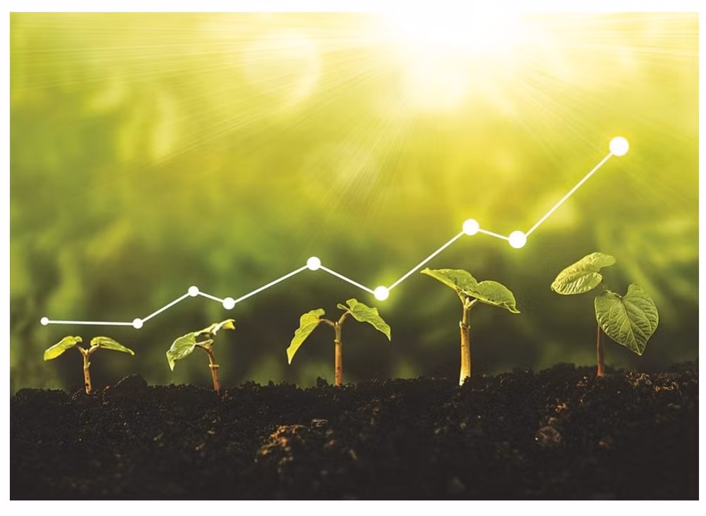 Chuyển đổi xanh là yêu cầu bắt buộc đối với các doanh nghiệp.