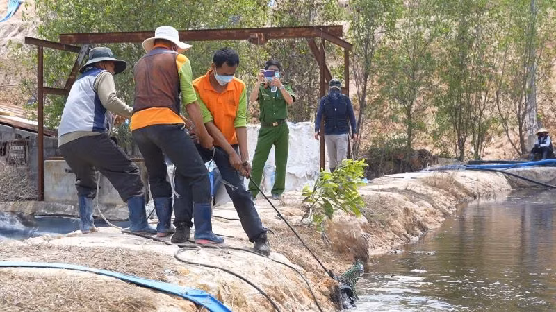 Công ty Trách nhiệm hữu hạn Kbec Vina có 100% vốn Hàn Quốc liên tục bị xử phạt hành chính vì xả thải vượt quy định ra môi trường.