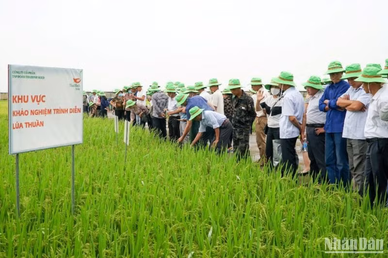 Hơn 300 đại điền tỉnh Thái Bình thăm quan Trung tâm khảo nghiệm giống lúa của Tập đoàn ThaiBinh Seed.