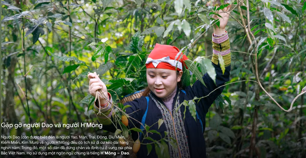Nhiều cộng đồng dân tộc của Việt Nam được giới thiệu trên Vibrant Vietnam.