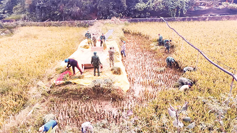 Bộ đội Biên phòng Ðồn Pha Long giúp người dân địa phương trong sản xuất, đời sống. 