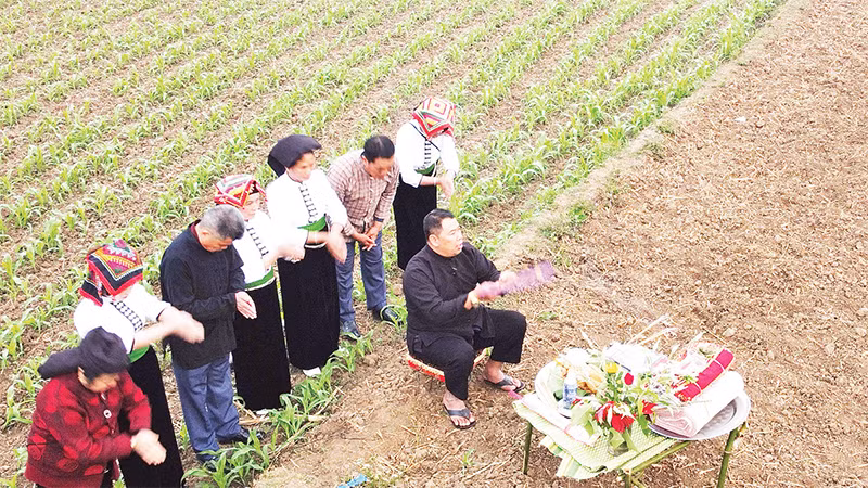 Thầy mo cùng những người già trong bản thực hiện nghi thức xin thần đất để tổ chức nghi lễ tại một địa điểm được lựa chọn trước. 