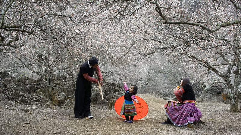 Cảnh sắc thiên nhiên và bản sắc văn hóa là những yếu tố thu hút đông khách du lịch tới Mộc Châu, Sơn La. (Ảnh Hoàng Hạnh) 