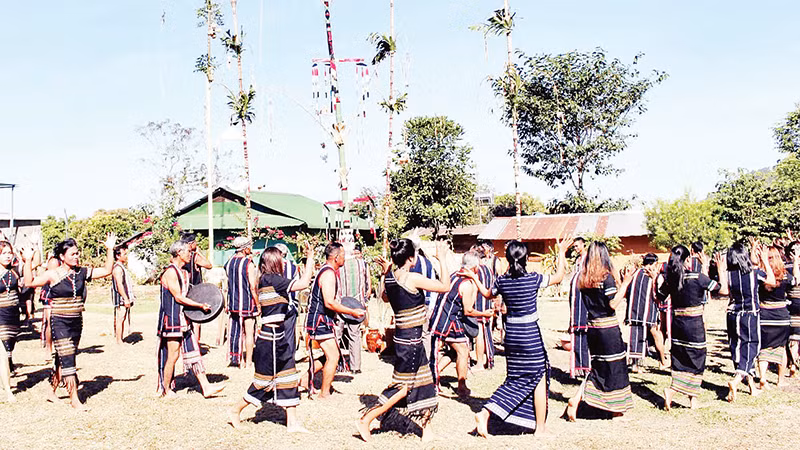 Cây nêu xuất hiện ở hầu khắp các lễ hội lớn của người Cơ Ho. 