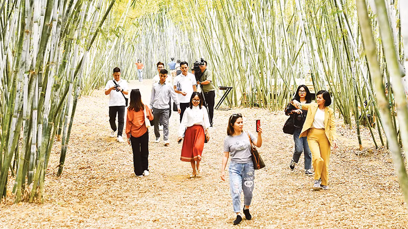 Du khách tham quan rừng trúc bản Ven.