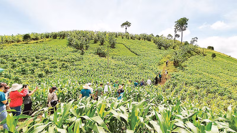 Du khách và các nhà nghiên cứu khoa học trải nghiệm các mô hình nông nghiệp công nghệ cao gắn với hệ sinh thái Công viên địa chất toàn cầu UNESCO Ðắk Nông.
