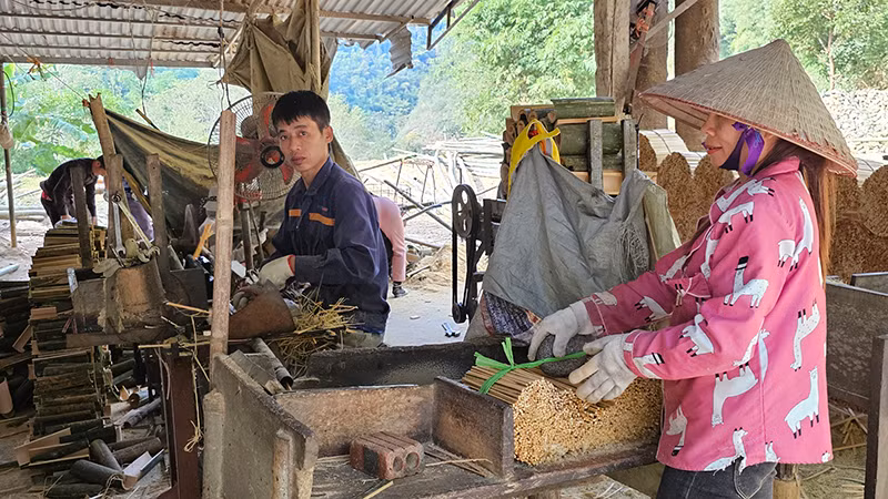 Chế biến luồng tạo việc làm, thu nhập cho người dân ở vùng thượng du Thanh Hóa. 
