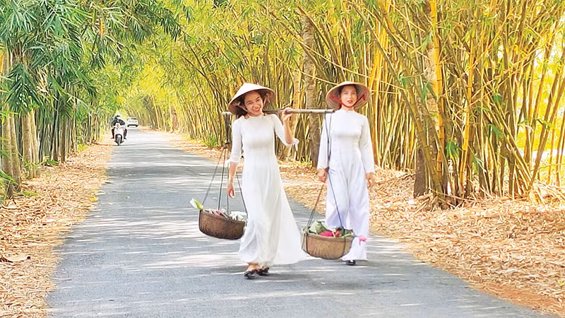 Ðường tre tại rừng tràm Gáo Giồng, huyện Cao Lãnh, tỉnh Ðồng Tháp. 