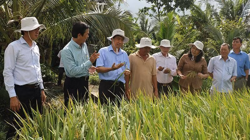 Ông Phạm Thiện Nghĩa (thứ 3 từ trái qua) và bà Trần Thị Quý thăm cánh đồng của nông dân Trịnh Văn Hiển.