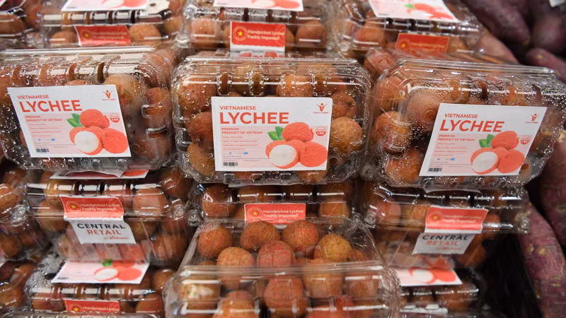 Central Retail giữ giá bán không quá chênh lệch so năm ngoái. (Ảnh: ĐINH TRƯỜNG)