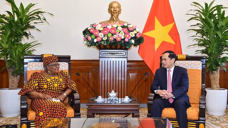 Bộ trưởng Ngoại giao Bùi Thanh Sơn tiếp Tổng Giám đốc WTO Ngozi Okonjo-Iweala. 