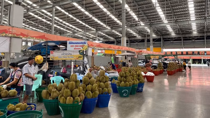 Thái Lan tăng cường các biện pháp kiểm tra, giám sát để giữ vững vị thế là nhà xuất khẩu sầu riêng lớn nhất sang Trung Quốc. (Ảnh: ĐINH TRƯỜNG)