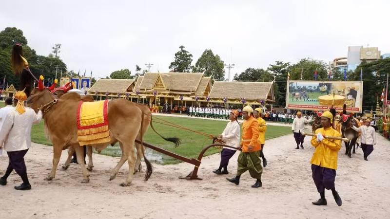 Lễ Tịch điền năm 2025 của Campuchia được tổ chức tại tỉnh Kampong Chhnang. (Ảnh: Bộ Thông tin Campuchia)