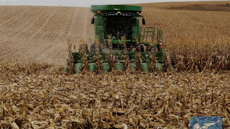 Một trang trại ở bang Nebraska, Mỹ, ngày 26/10/2017. (Ảnh: Tân Hoa xã)