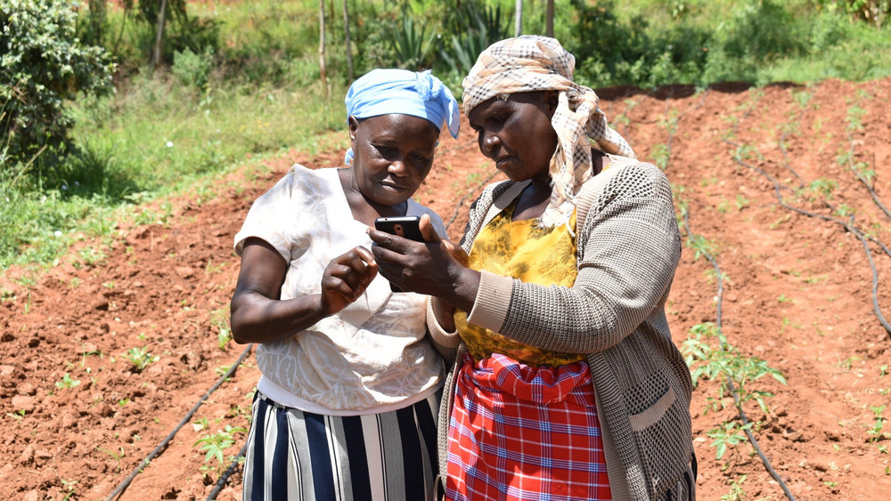 Dự án Shamba Pride được triển khai tại Kenya. Dự án Shamba Pride được triển khai tại Kenya.