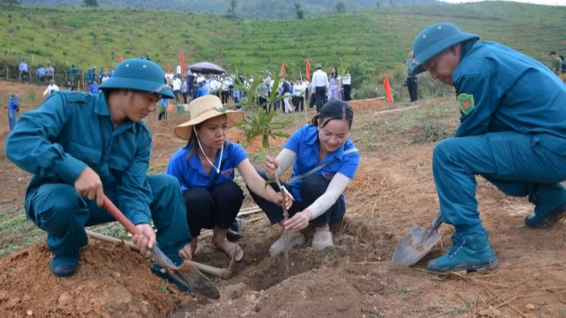 Hưởng ứng Ngày hội trồng cây mắc-ca năm 2024, ngay trong chiều 23/5 có hàng trăm người là nhân dân, cán bộ, giáo viên huyện Tuần Giáo tham gia trồng cây mắc-ca tại xã Quài Cang.