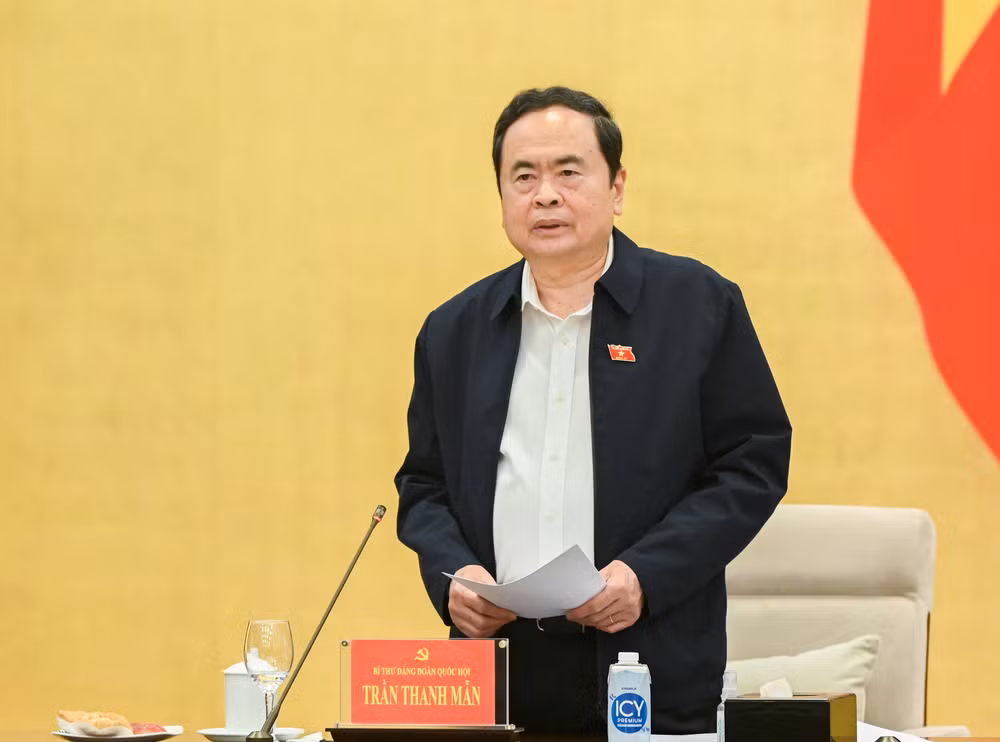 Chủ tịch Quốc hội phát biểu chỉ đạo. (Ảnh: DUY LINH)