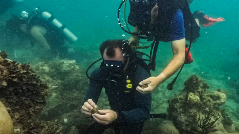 Quần đảo Florida Keys, cực nam của bang Florida, Mỹ. (Ảnh: Reuters)