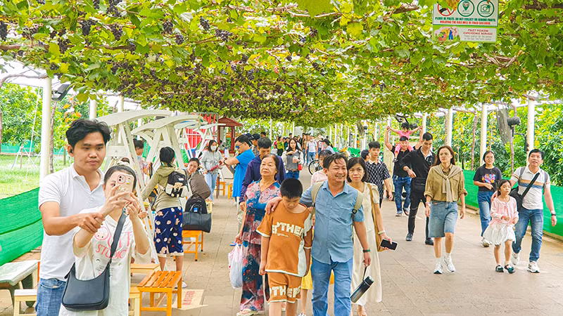 Không gian thoáng mát thu hút nhiều du khách tại Khu Du lịch Văn hóa Suối Tiên.
