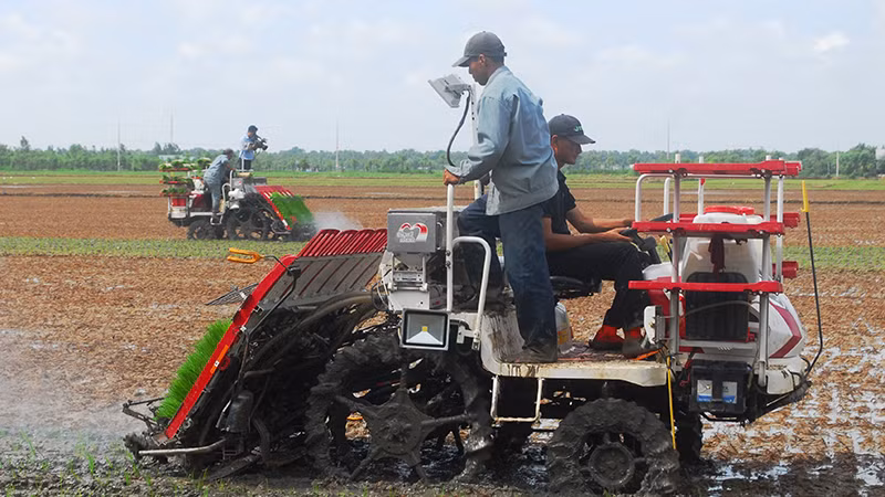 Máy cấy lúa được đưa vào áp dụng nhiều năm tại xã Tăng Hòa, huyện Gò Công Đông (Tiền Giang).