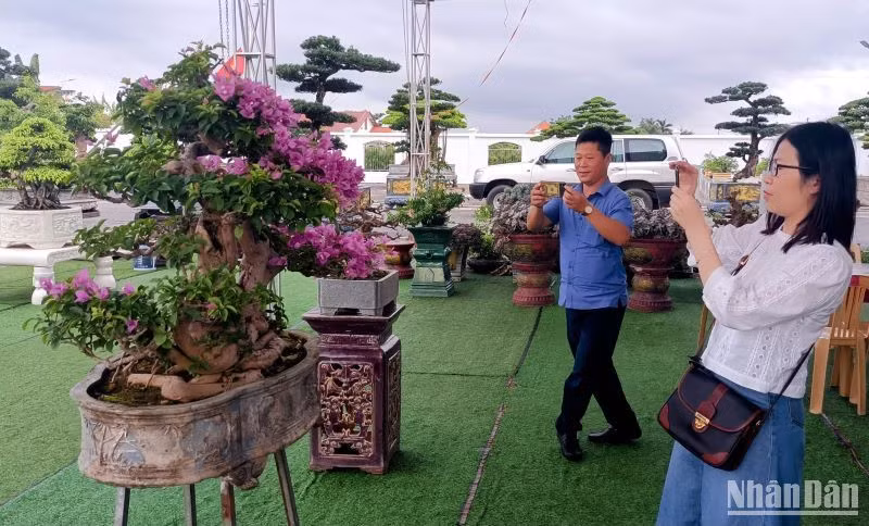 Du khách thích thú lưu lại những bức ảnh kỷ niệm bên những cây cảnh, cây thế có giá trị thẩm mỹ cao trong làng vườn Bách Thuận.