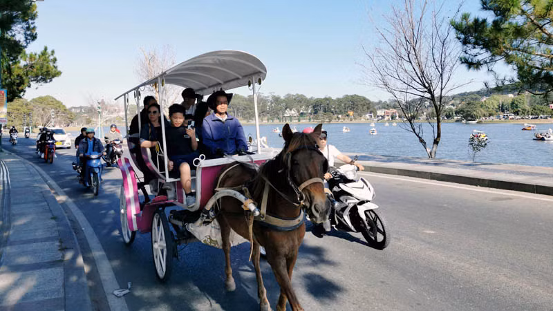 Du ngoạn xe ngựa quanh hồ Xuân Hương. Du ngoạn xe ngựa quanh hồ Xuân Hương.