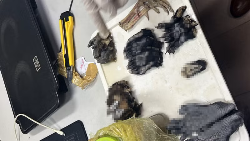 Tang vật vụ án.