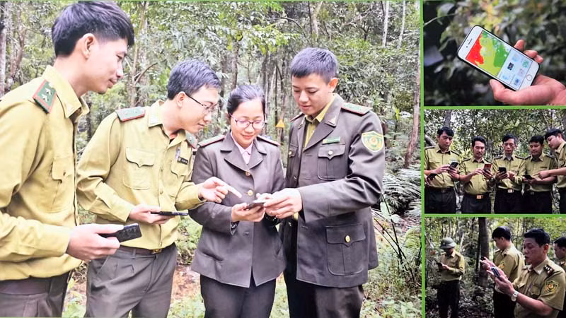 Hợp phần Bảo tồn Đa dạng sinh học thuộc dự án VFBC do USAID tài trợ đã hỗ trợ đào tạo, tập huấn cho các cán bộ ban quản lý Vườn quốc gia trong quản lý giám sát rừng và đa dạng sinh học, thiết lập và nâng cấp công cụ smart.