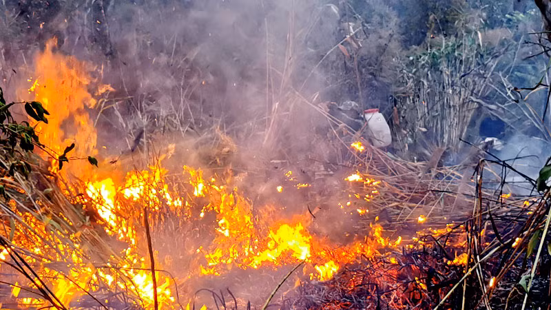 Thảm thực bì khô nhanh chóng bắt lửa gây cháy lan.