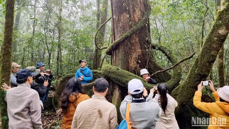 Trải nghiệm, khám phá Vườn quốc gia Bidoup-Núi Bà.