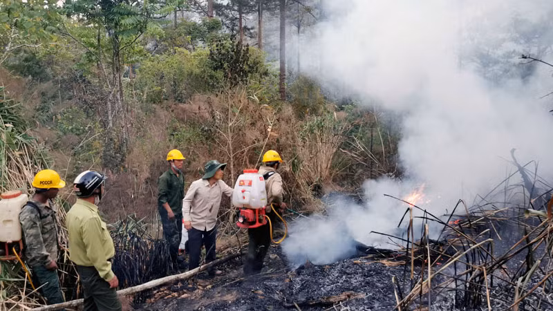 Sau nỗ lực dập lửa của các lực lượng, đám cháy cơ bản được khống chế.