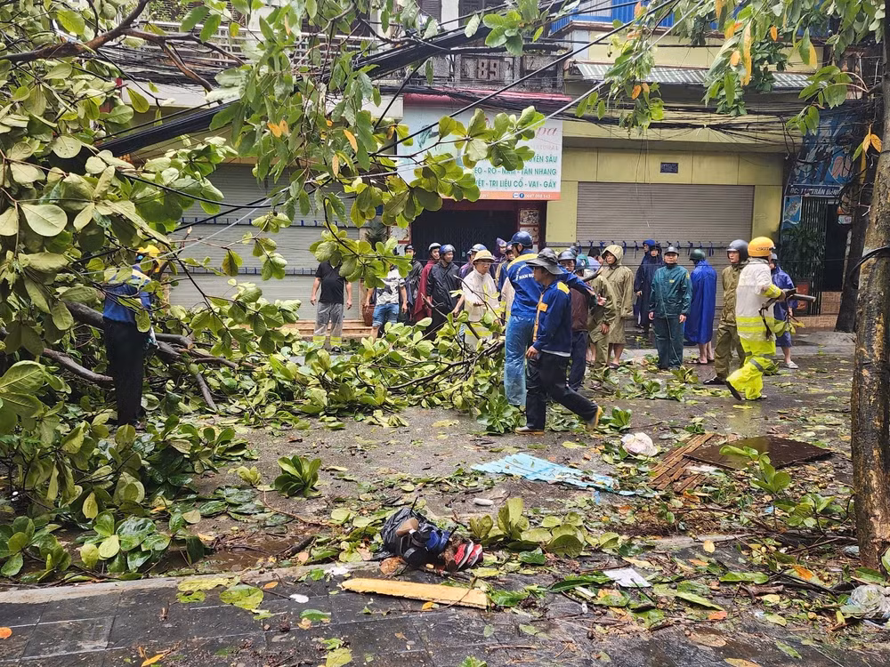 Lực lượng chức năng thu dọn cây gãy đổ tại thành phố Nam Định, tỉnh Nam Định sáng ngày 8/9.