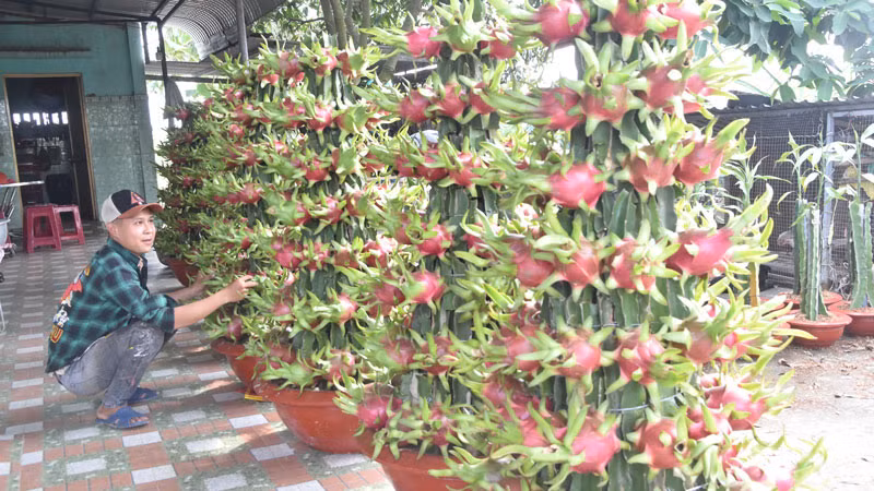 Sau khi tạo xong, anh Lê Văn Phước kiểm tra độ thẩm mỹ lần cuối trước khi giao cho khách.