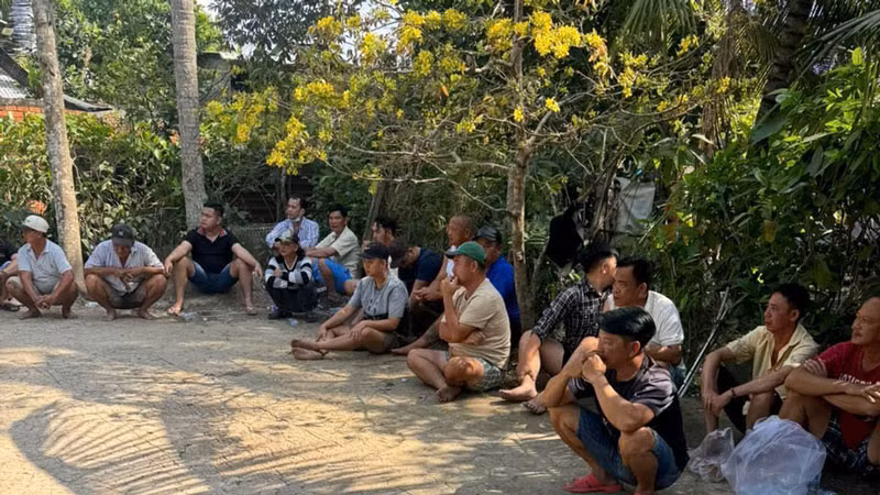 Tụ điểm đá gà ăn thua bằng tiền được cơ quan công an triệt xóa.