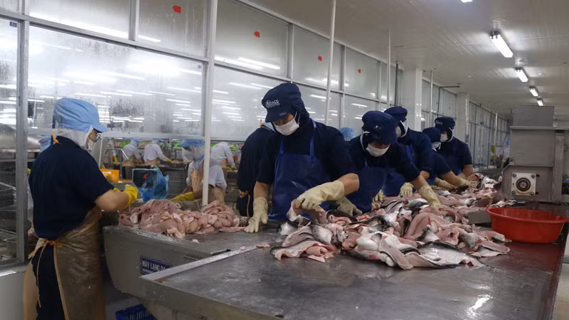 Công nhân làm việc tại Công ty cổ phần Gò Đàng.