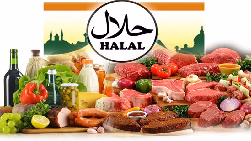 Các dòng sản phẩm chủ yếu Halal.