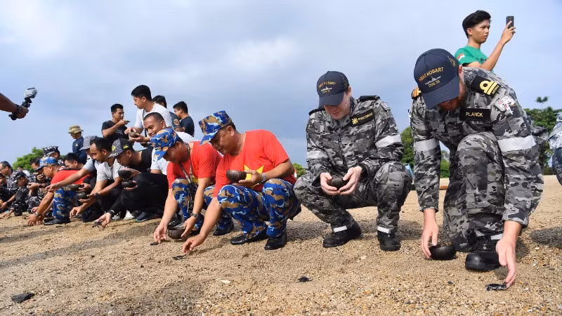 Thả rùa con về với biển khơi.