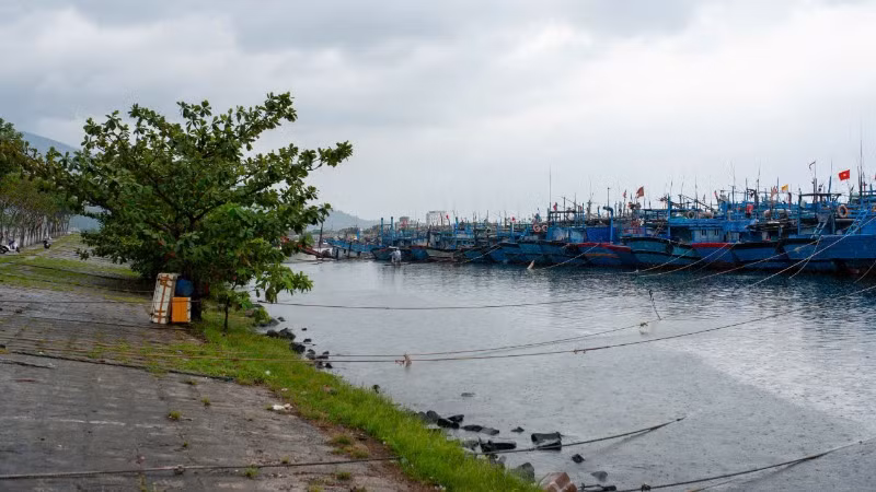 Hàng nghìn tàu đánh cá của Đà Nẵng và các địa phương đã neo đậu, chằng buộc để tránh trú bão tại âu thuyền Thọ Quang.